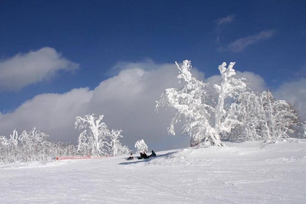 Stay In Toyooka Asahikawa Zewnętrze zdjęcie